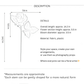 Modern Garden Rose Stem – 14"