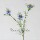Meadow Nigella Stem – 30.7"