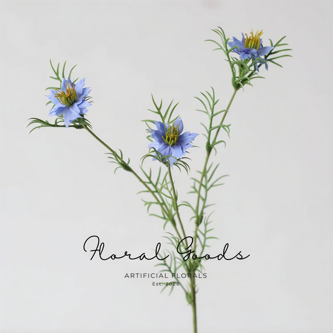 Meadow Nigella Stem – 30.7"