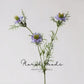 Meadow Nigella Stem – 30.7"