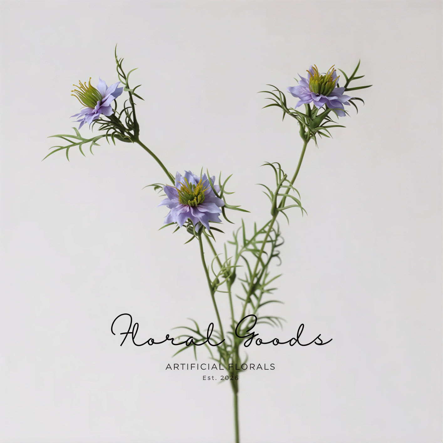 Meadow Nigella Stem – 30.7"