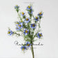 Meadow Nigella Stem – 30.7"