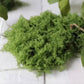 Natural-Style Artificial Moss (Loose & Sheet Options)