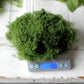 Natural-Style Artificial Moss (Loose & Sheet Options)