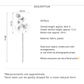 Moth Orchid Stem – 26"