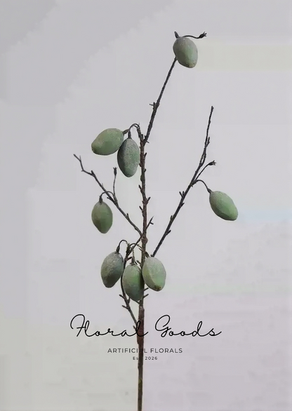 Wild Olive Branch Stem – 33.5"