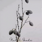 Wild Olive Branch Stem – 33.5"