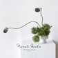 Sculptural Pincushion Protea Stem – 25.6"
