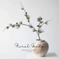 Wild Pine Branch with Cones – 43"