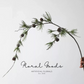 Wild Pine Branch with Cones – 43"