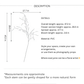 Polygonum Inspired Wildflower Spray – 47.2"