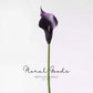 Refined Calla Lily Stem – 21"