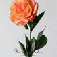 Romantic Peony Bloom Stem – 27.6"