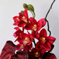 Real Touch Cymbidium Orchid Stem – 29.5"