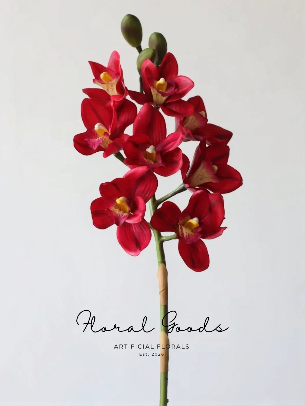 Real Touch Cymbidium Orchid Stem – 29.5"