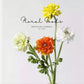 Statement Ranunculus Stem – 18.1"