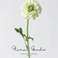 Statement Ranunculus Stem – 18.1"