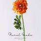 Statement Ranunculus Stem – 18.1"