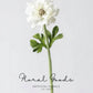 Statement Ranunculus Stem – 18.1"