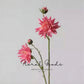 Rosy Petal Dahlia Stem – 16.9"