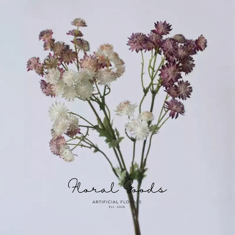 Starry Astrantia Stem – 23.6"