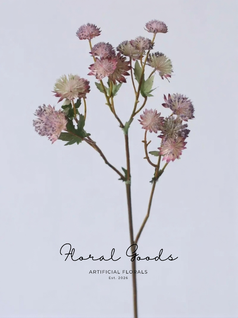 Starry Astrantia Stem – 23.6"