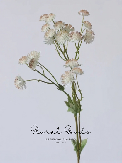 Starry Astrantia Stem – 23.6"