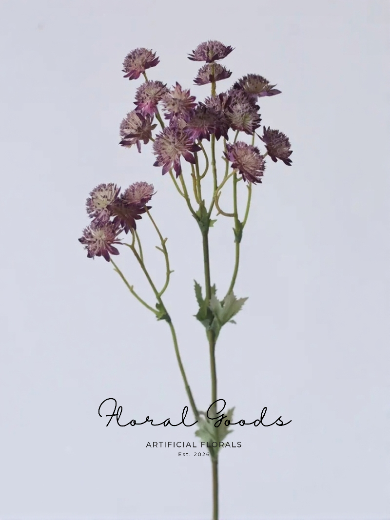 Starry Astrantia Stem – 23.6"