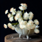 Starry Astrantia Stem – 23.6"
