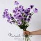 Minimal Scabiosa Stem – 19.7"