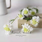 Minimal Scabiosa Stem – 19.7"