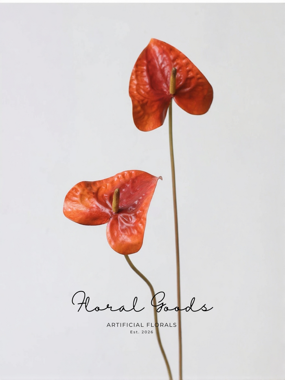 Sculptural Anthurium Stem – 24"