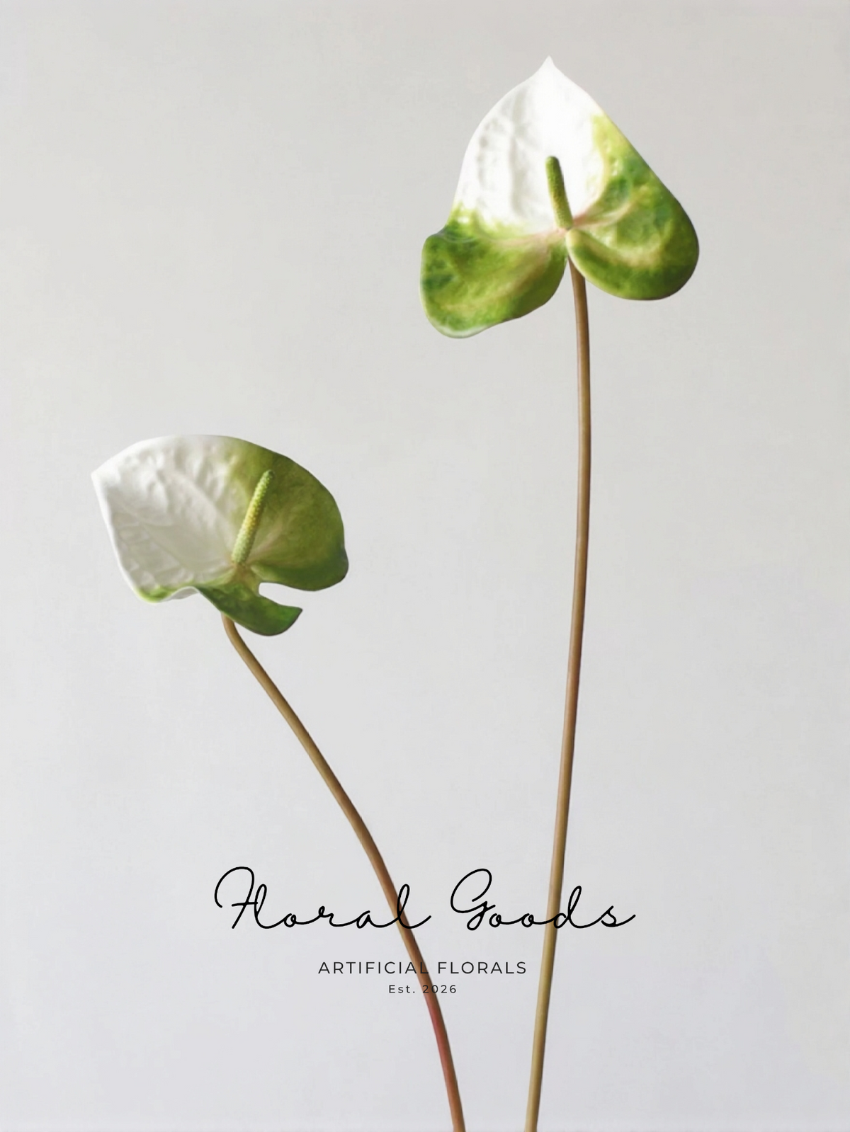 Sculptural Anthurium Stem – 24"