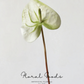 Sculptural Anthurium Stem – 24"