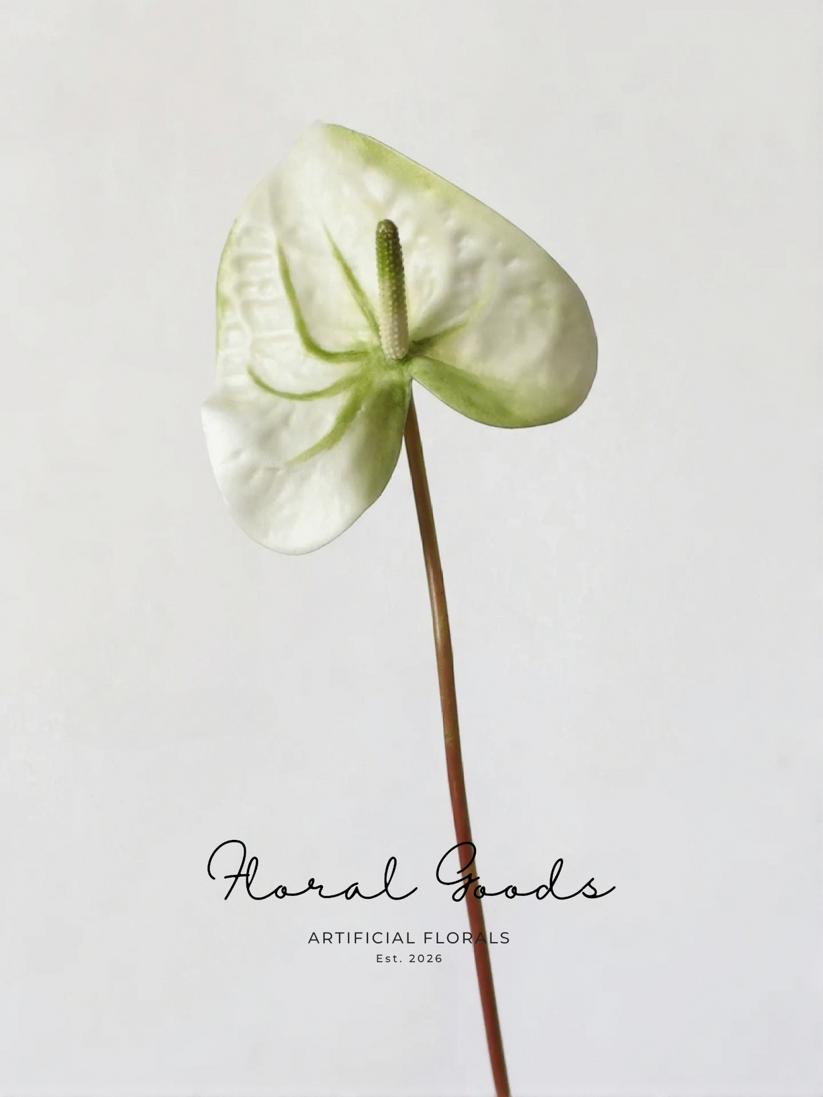 Sculptural Anthurium Stem – 24"