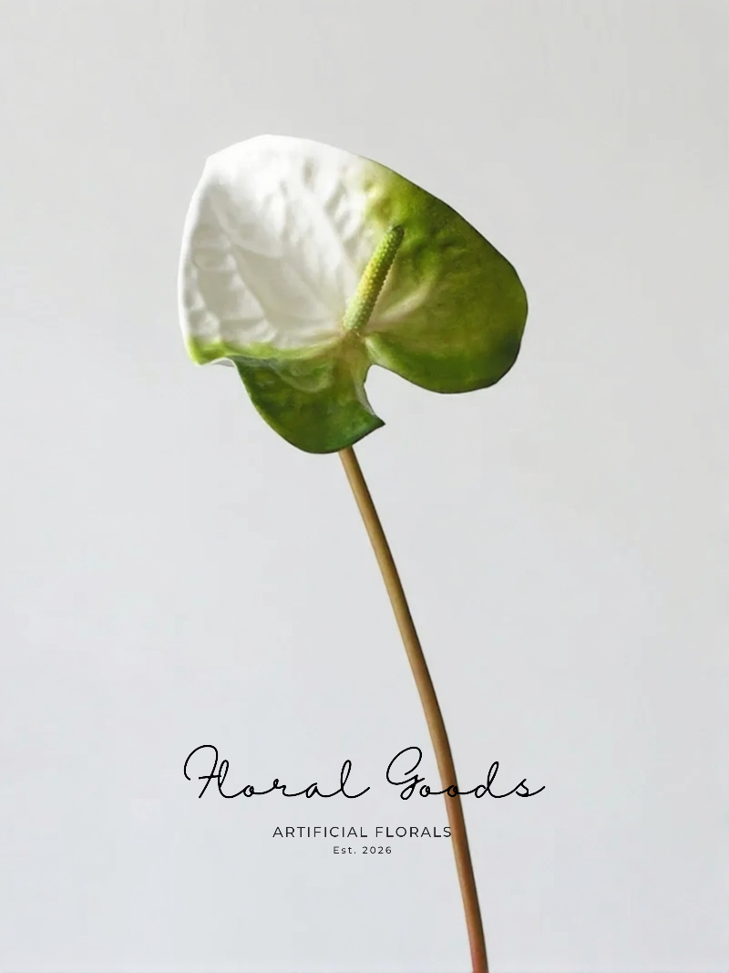 Sculptural Anthurium Stem – 24"