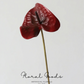 Sculptural Anthurium Stem – 24"