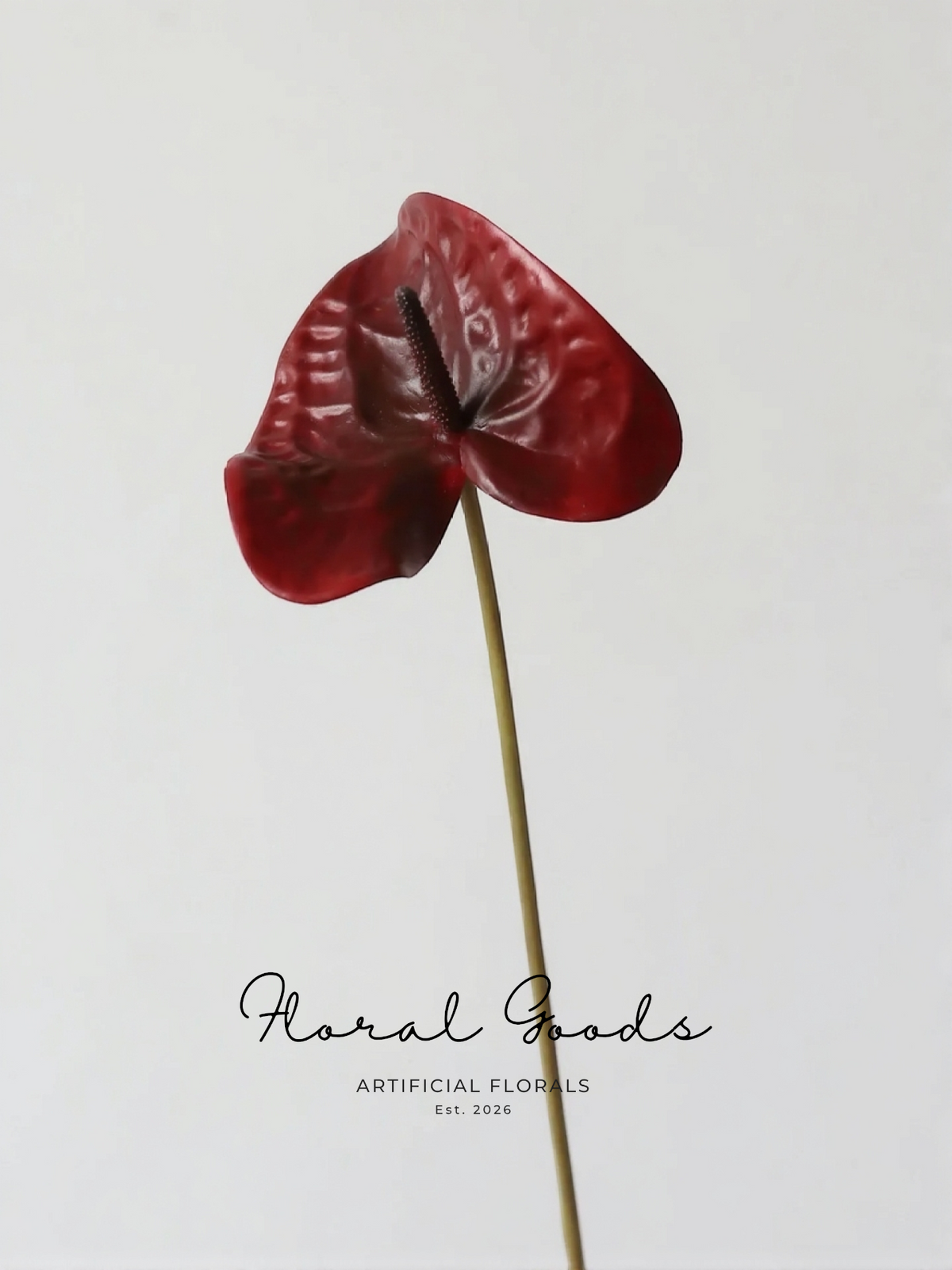 Sculptural Anthurium Stem – 24"