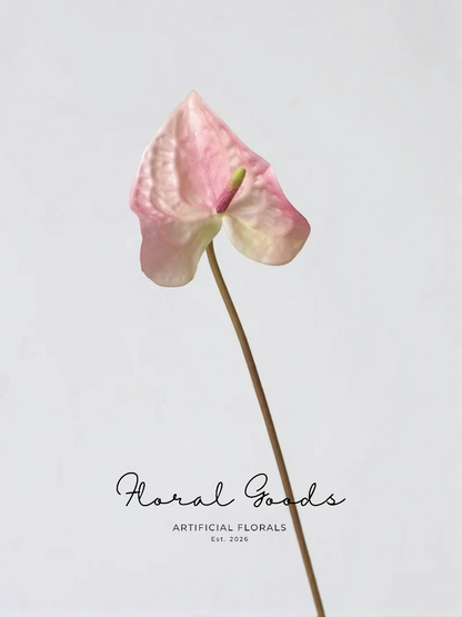 Sculptural Anthurium Stem – 24"