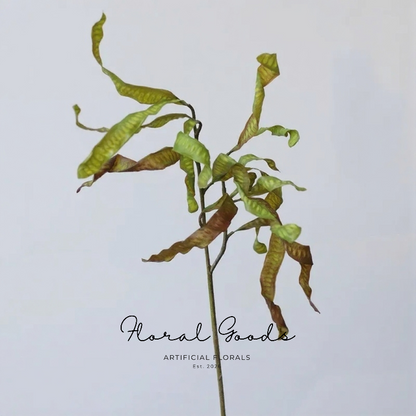 Sculptural Curled Leaf Stem – 27.2"