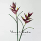 Sculptural Heliconia Stem – 34"