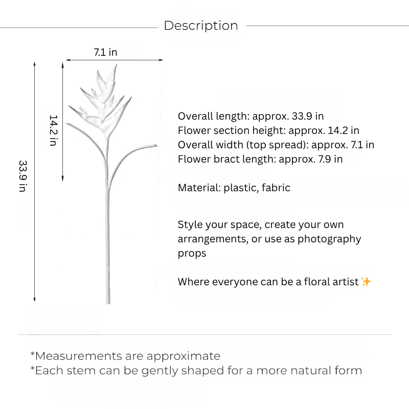 Sculptural Heliconia Stem – 34"