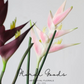Sculptural Heliconia Stem – 34"