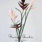 Sculptural Heliconia Stem – 34"