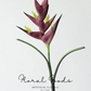 Sculptural Heliconia Stem – 34"