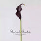 Sculptural Calla Lily Stem – 24"