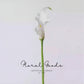 Sculptural Calla Lily Stem – 24"