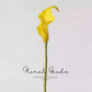 Sculptural Calla Lily Stem – 24"