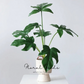 Sculptural Monstera Leaf Branch – 23.6"