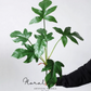Sculptural Monstera Leaf Branch – 23.6"